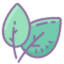 Tươi Ngon